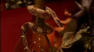 Fit Big Tits MILF Gets Fucked Hard by Her Big Cock Husband