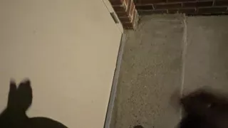 Got Super Horny While Walking Outside At Night So I Stopped By A Random Building To Goon My Penis Real Quick