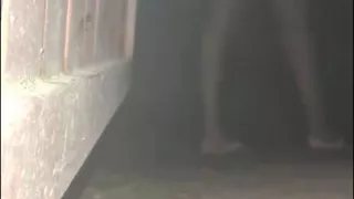 Mayankperv