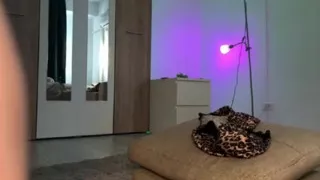 Jucielussie Anal fucking with big dildo