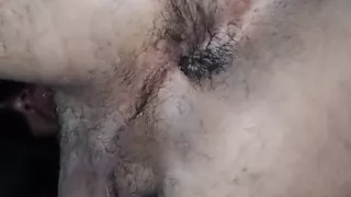 Show Glory Ass Hole