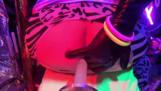 Toypleasurexxx - Zebra Anal Sextoy