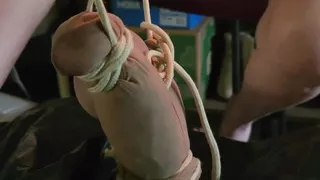 Goode Girl Scales of Justice CBT