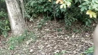 Amano esibirsi Sc 3 hot kinky MILF