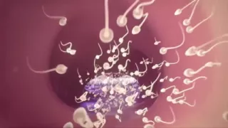 3D Hentai Uncensored Cloud was an asshole.