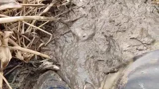 Bare feet playing in mud part 2 moments