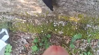 Cum on shoes