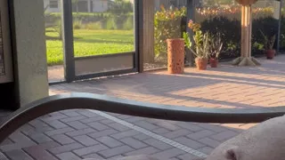 Morning Patio Masturbation