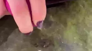 Amateur Compilation masturbation