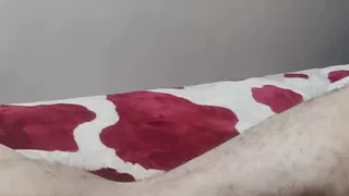 Arab Porn Moroccan