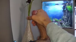 Hot Young Guy Wanks His Nice Big Cock Until He Cums Slowly in Front of the Aquarium