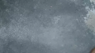 Delhi  Noida 