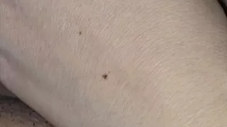 Step mom handjob step son dick in erection and let him unfinished when husband comes home