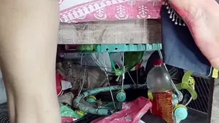 Best Ass Fuck Doggy Style in Hindi Audio