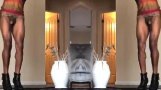 Make This Kitty Pure - Voguing Karma D