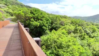 That View or Me?