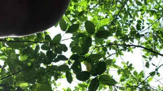 Threesome outdoor fuck inside the bush