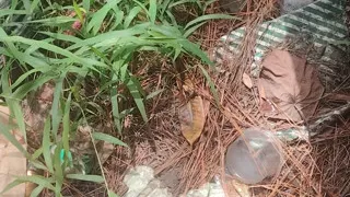 Outdoor mastu4bation