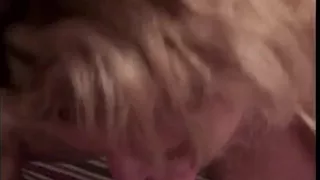 Three experienced guys give two innocent cuties some lessons of sexual education