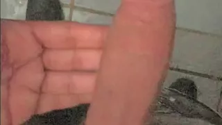 Hand job at home masterbaustiom