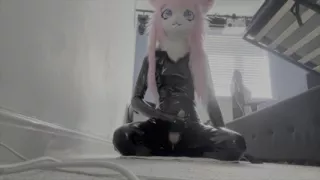 Foxypuppyx