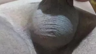 Young gay boy having solo anal sex with toy