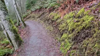 Hike-n-piss on a Rainy Day