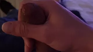 Alex 08