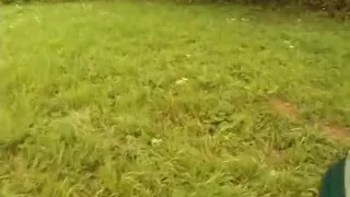 Granny sucks a chunky cock then gets fucked in the bushes