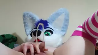 Bluehuskyuwu