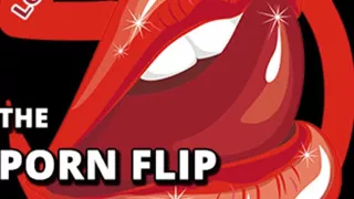 AUDIO ONLY - Porn flipper