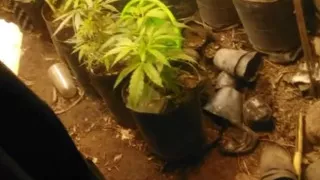 Compilation - Part 14