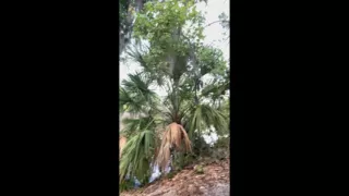 Outdoor Trail Peeing