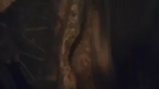 Lil Taste Videos