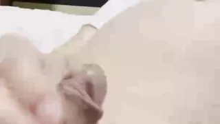 Naoki, 63 years old, masturbating