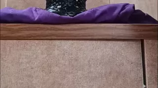 Penetration of my receiving hole by dragon egg