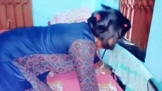 Indian Bahu and Sasur Ki Chudai Short Hindi Video