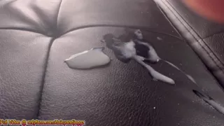 Latina Gets Pounded By Fucking Machine