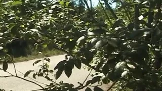 Milf taking car of a guy she just hit with her car