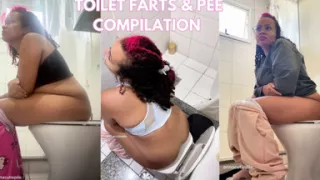 Real Daily Toilet Farts & Pee Compilation Personal Bathroom Moments