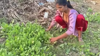 Priya Stepaunty Fingering Video of Squirt and Orgasm and After That Too in Clear Hindi