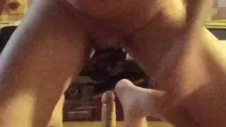 Dogpoland22