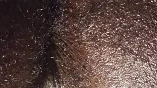 Dickrnrn69