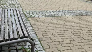 Bulgarian Fat Dick