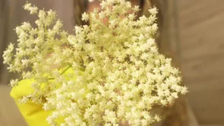 I'm Allergic to Flowers, so I Sneeze a Lot, but It Just Won't Go Away. I Try a Few Tricks to Make It Go Away, Like Holding