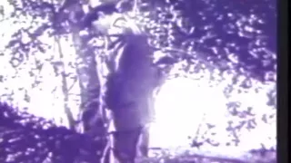 Public sex in the 1930's
