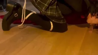 Bondage blowjob training
