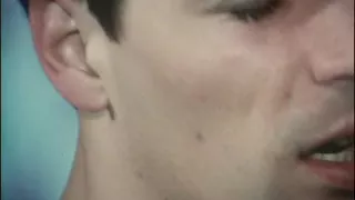 Three sexy chicks take on hard cocks