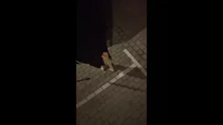 Sissy Walks Outdoors in Her Sexy Outfit