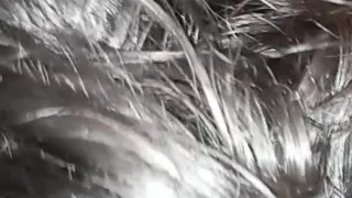Blowjob Gorgeous Latina MILF Amateur